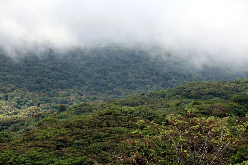 Monteverde Cloud Forest - Costa Rica Travel Itinerary 10 Days