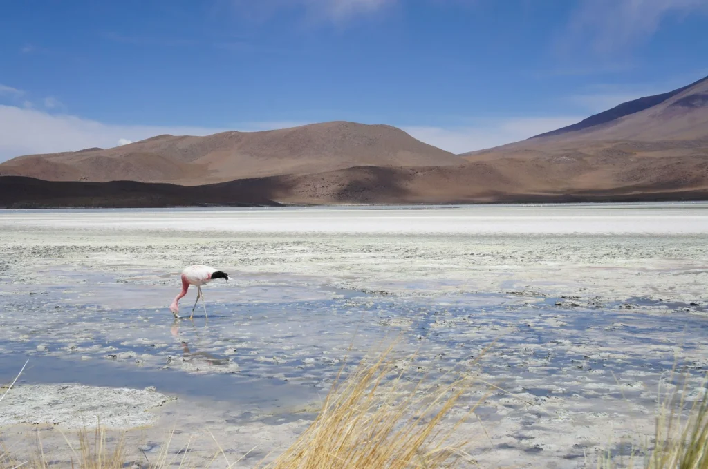 Salar De Uyuni - South America Travel Itinerary 2 Weeks