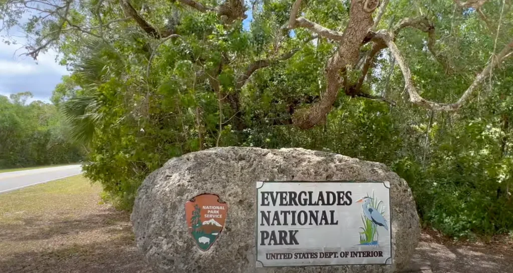 Everglades National Park - Solo Travel To Miami