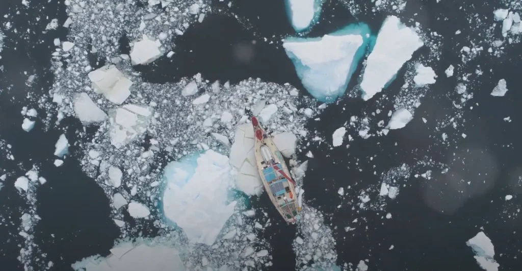 Kayaking - Solo Travel To Antarctica