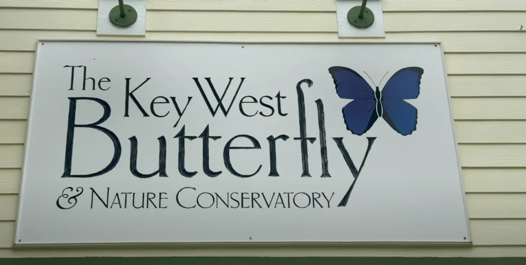 Key West Butterfly and Nature Conservatory - Key West Solo Travel