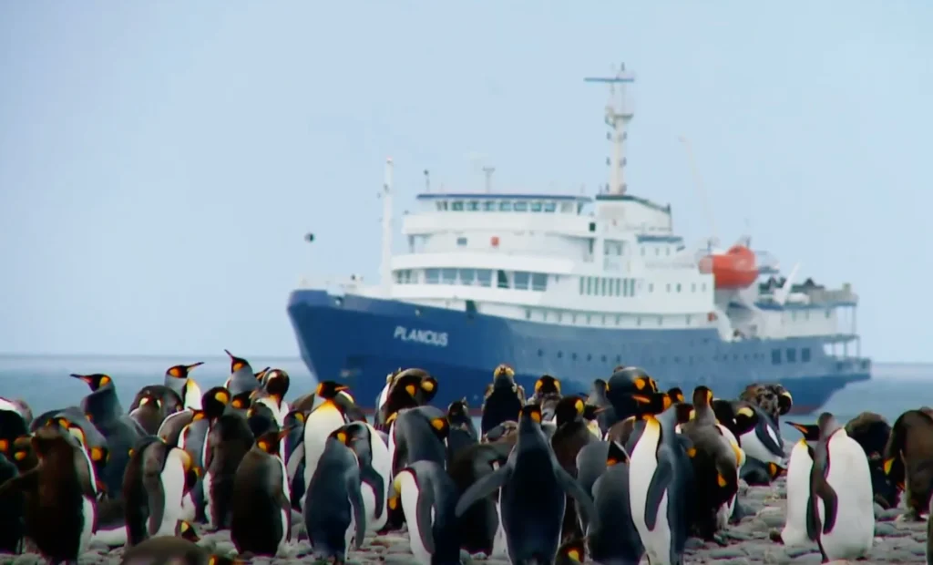 Plancus Oceanwide Expeditions - Best Antarctica Cruise For Solo Traveler