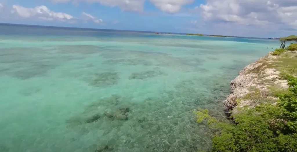 Snorkeling at Mangel Halto - Solo Travel Aruba